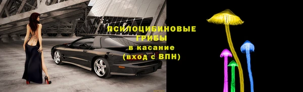 мдма Богданович
