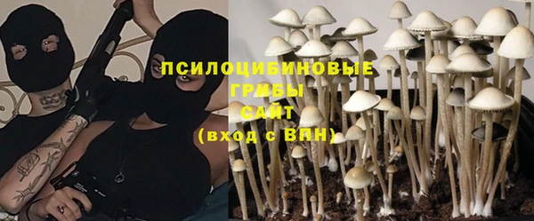 мдма Богданович