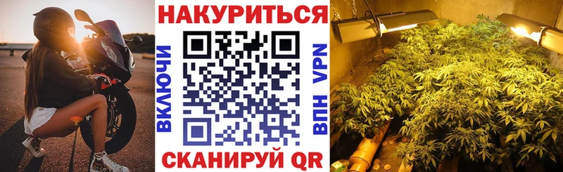 Шишки марихуана Amnesia  Купить где  Вольск 